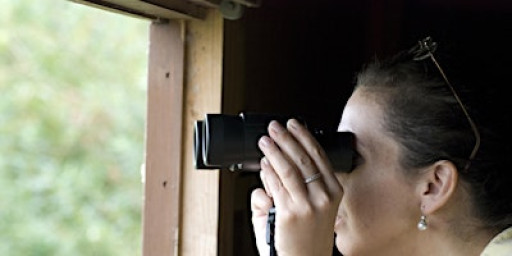 Birdwatching for Beginners