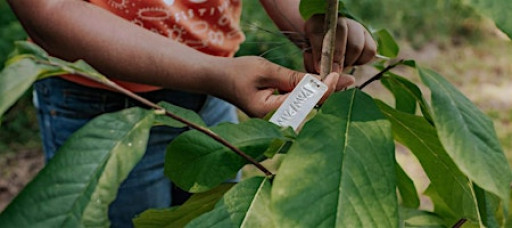Growing Community Orchards Workshop