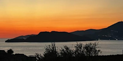 Boost Your Immune System & Radiate Health with Anna Morel