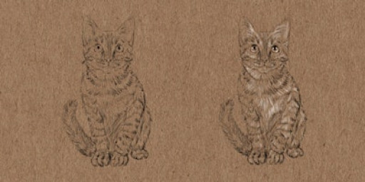 Cat Drawing and Construction with Michael Rios