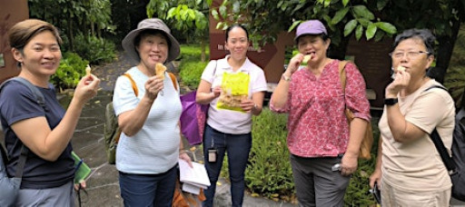 Nature & Sustainability Tour: A Sensory Stroll - Can Eat or Not? [Dec'25]