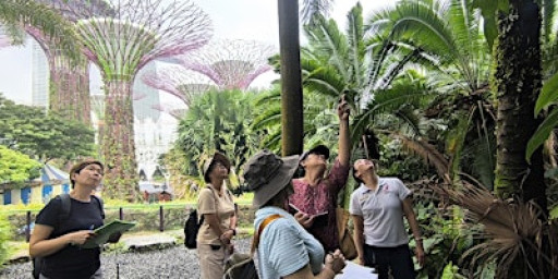 Nature & Sustainability Tour: A Sensory Stroll -Hidden in Plain Sight [Dec]