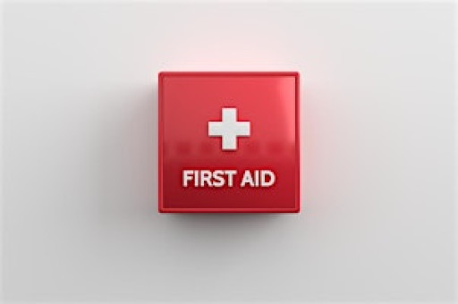 Paediatric First Aid 12hr Blended Learning Training PFA 9