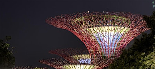 INCOSE SG Chapter Appreciation Dinner 2025