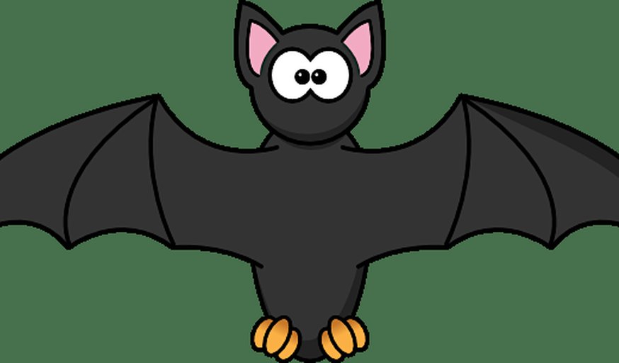 Bats of Stoke Park