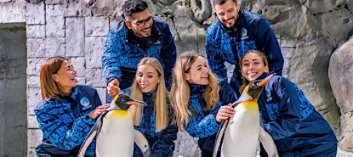Dubai: A Date with Penguins -The Coolest Experience in Dubai! Sun 23rd Nov