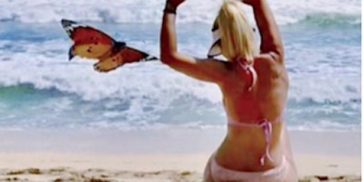 Unite For A Change: 2h Slow Flow Yoga, Aromatherapy, Stand Up to Hunger