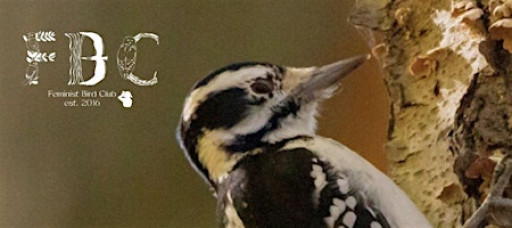 Autumn Birding in Prospect Park