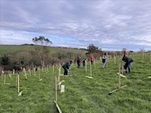 Tree-planting volunteers needed for exciting project near Dundry, Bristol
