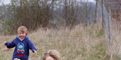 Wild Kite Building Workshop (afternoon) - Sutton Courtenay, Tuesday 17 February