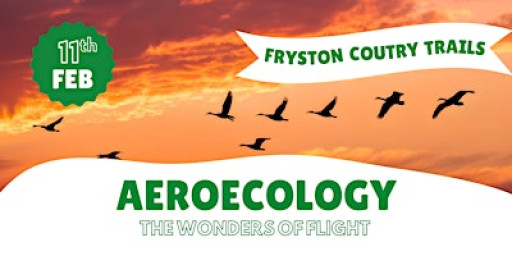 Aeroecology