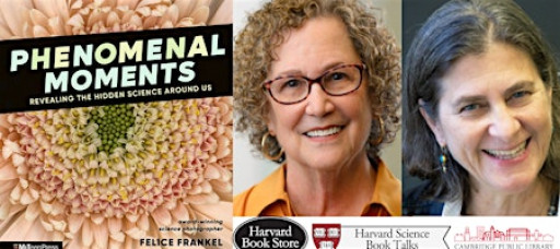 Felice Frankel at the Cambridge Public Library