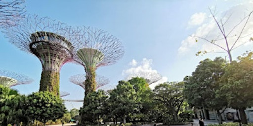 Mindfulness by the Bay (Jan 2026)