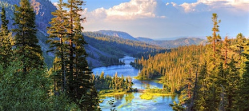 Fellowship with Dr Lorrita Chan