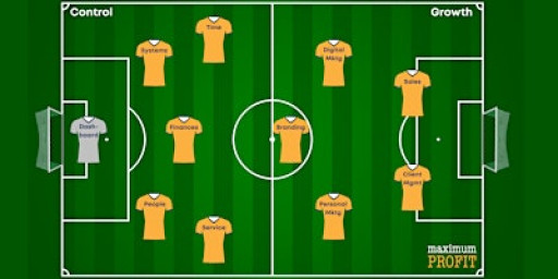 Why Survive When You Can Thrive in your Business?