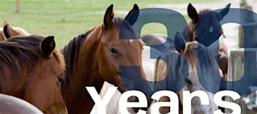 Celebrating 30 years of the Equine Specialization in Animal Sciences