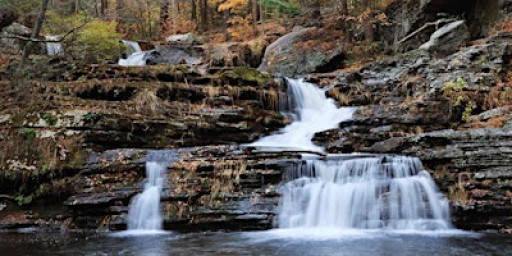 Understanding Exposure (ISO, Shutter and Aperture)