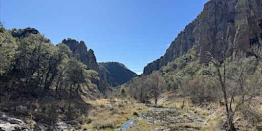 Workshop: Springs Trip Planning and Navigation (Dec. 11)