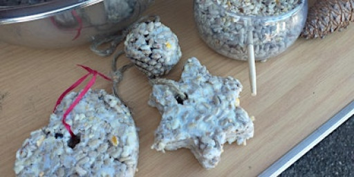 Make a Gift for Birds: Seed Balls at Mudeford Woods