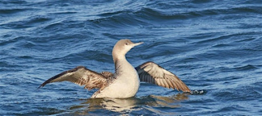 North Shore Ponds & Inlets