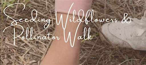 Latino Outdoors NYC | Seeding Wildflowers & Pollinator Walk