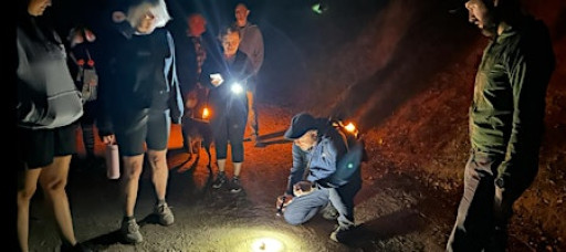 December Full *Super* Moon Nature Night Hike