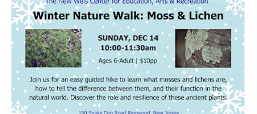 Winter Moss & Lichen Walk!