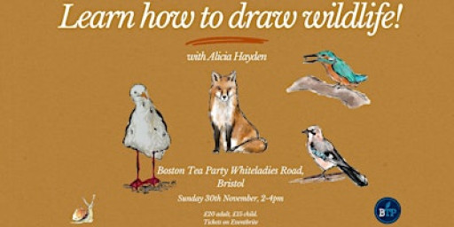 Learn how to draw wildlife : an art workshop