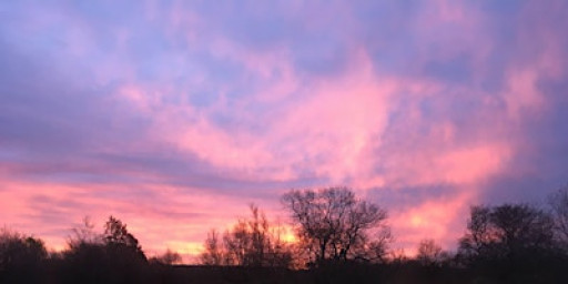 Sunrise Walk and Breakfast in Nature - Sutton Courtenay, Thursday 15 January