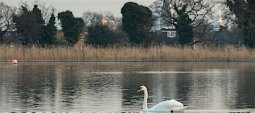 History & Ecology of Woodberry Wetlands - Guided Walk