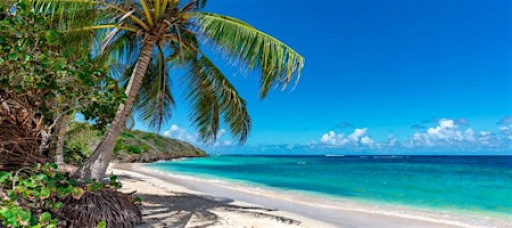 MCON Puerto Rico 2026