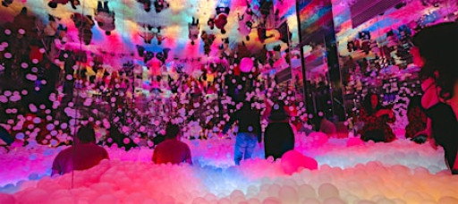 Ball Pit Speed Dating @ Ballie Ballerson (Ages 21-30)