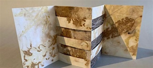 The Book Artist as Naturalist - Jan 10 & 11, 2026