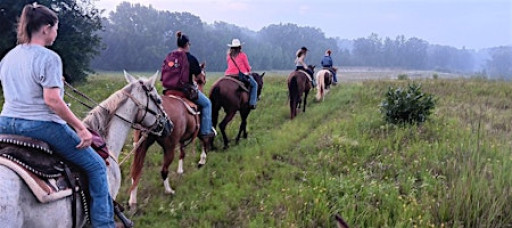 4 hour Mineola Nature Preserve Horseback Tour