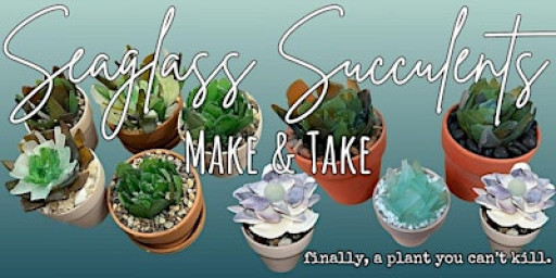 Seaglass Succulent Make & Take with Jessie