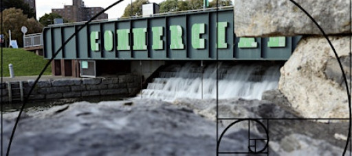 Intro to Photography and Composition