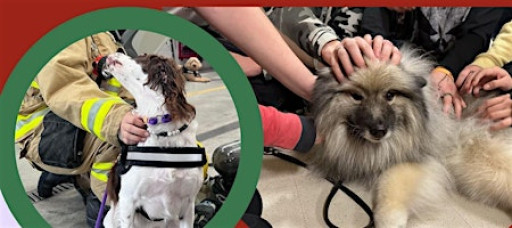 Mini Me Heroes Fundraising for NATIONAL Crisis Response Canines