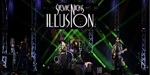 STEVIE NICKS ILLUSION~