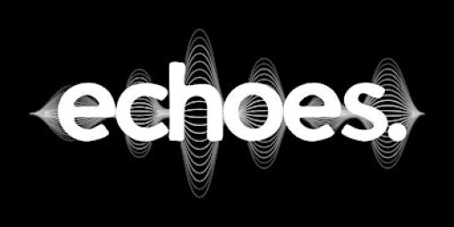 Echoes of the Dance Floor