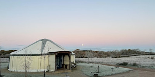 Plant Pilgrim Server: A Journey Through the Celtic Wheel of the Year