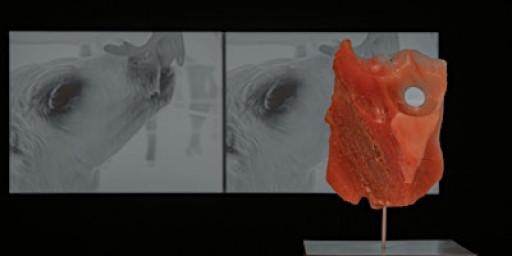 POETRY CLUB with GEORGIA GENDALL