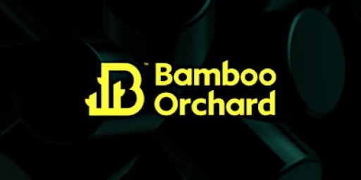 The New Fundamentals of Effective Management