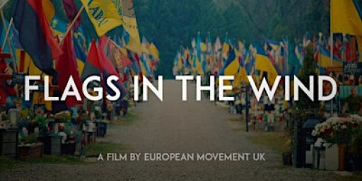 Wales for Europe - Screening of Flags in the Wind