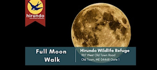 Full Moon Wildlife Walk