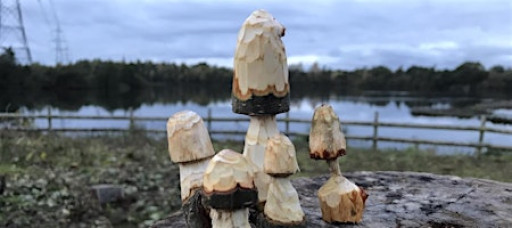 Monthly Workshop: Beginners Whittling & Wood Carving