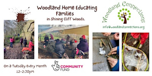 Woodland Home Educating Families at Shining Cliff Woods
