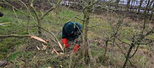 Monthly Workshop: Hedgelaying