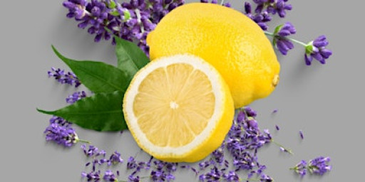 Create Your Own Budget Friendly Natural Home Cleaning Kit