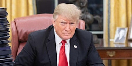 Trump 2.0 - One Year In