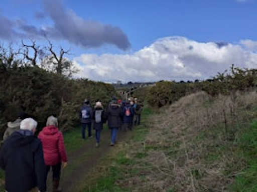 Be Inspired by Martlesham Wilds on New Years Day! (E2P2816)